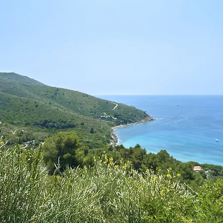 Fonza - Argonautivacanze Marina di Campo